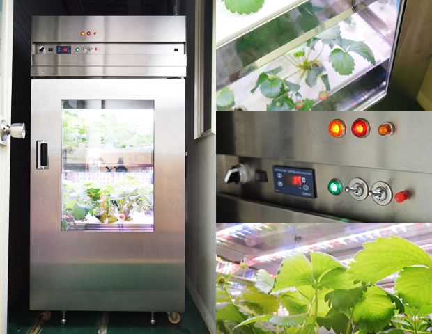 【新製品のご案内】冷蔵庫サイズの小型植物工場を開発・先行ご注文受付のお知らせ 